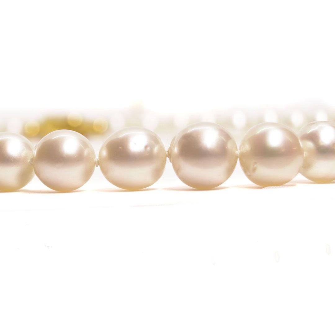 COLLAR MUJER PERLAS 24215P