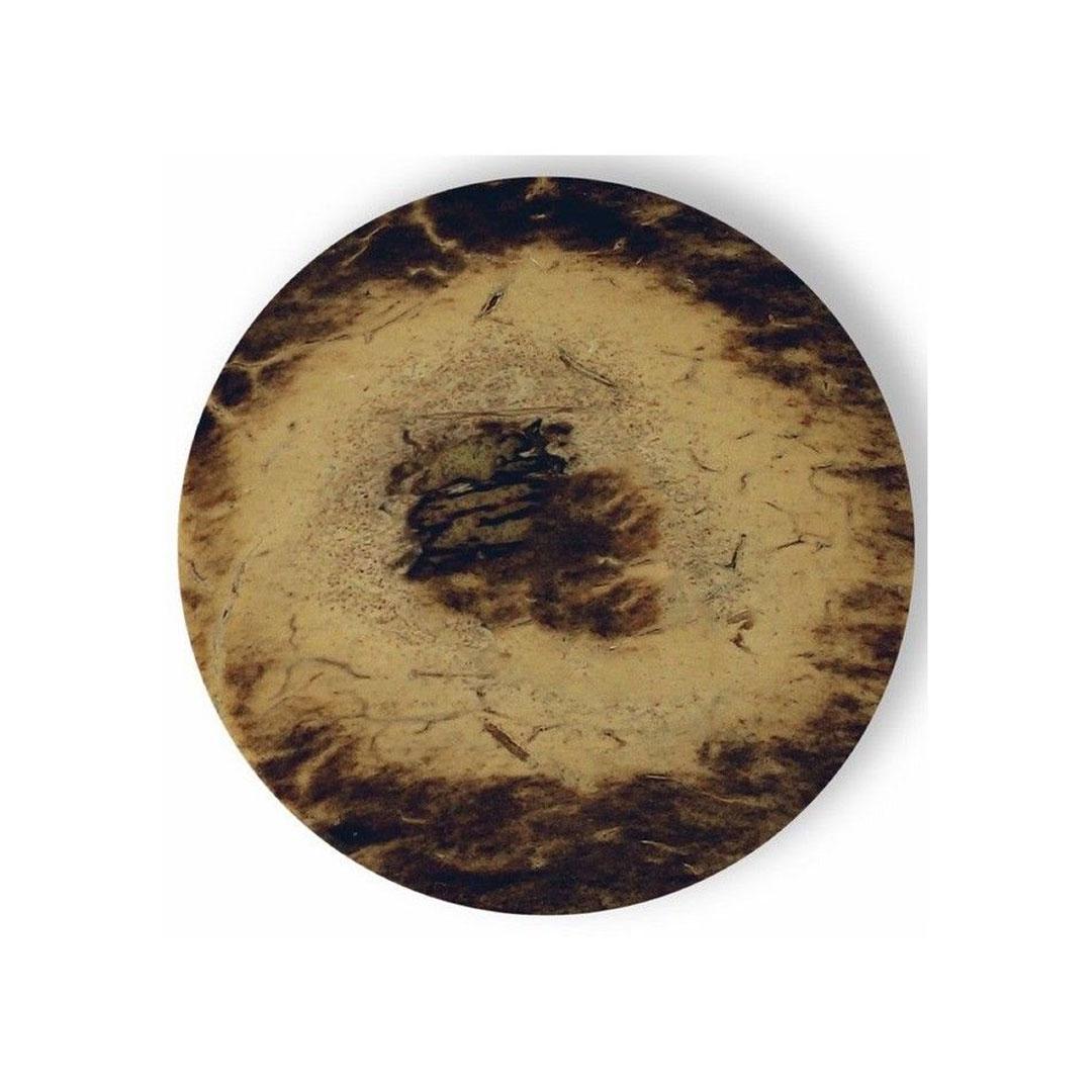 Disco mi moneda nat-co-l